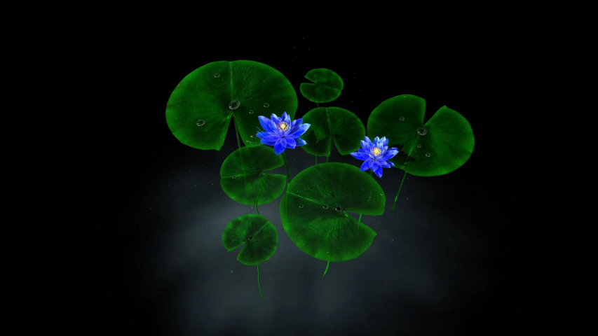 浙江180度全息供應(yīng)商 上海杰恩文化科技供應(yīng)