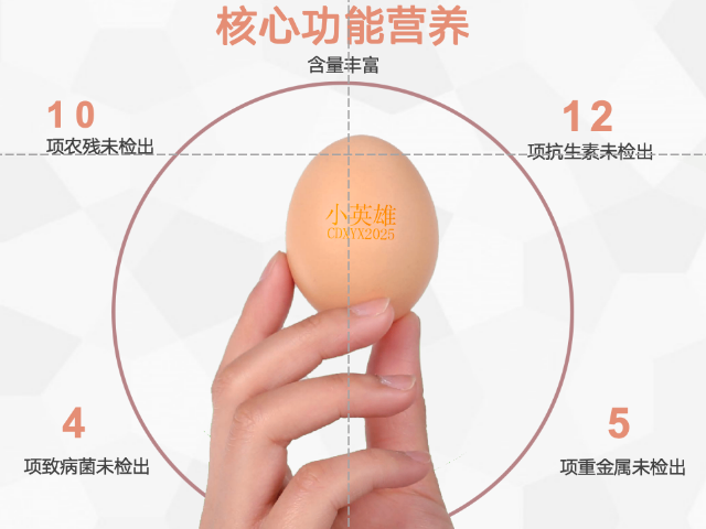 放心雞蛋現貨 來電咨詢 四川巴山金谷食品供應