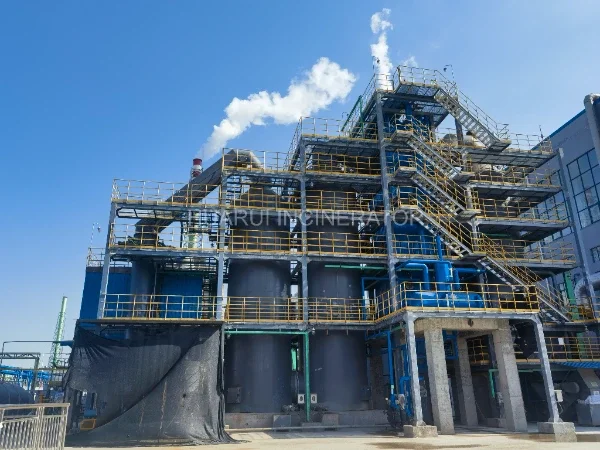 Principles and Processes of Liquid and Gas Waste Incineration