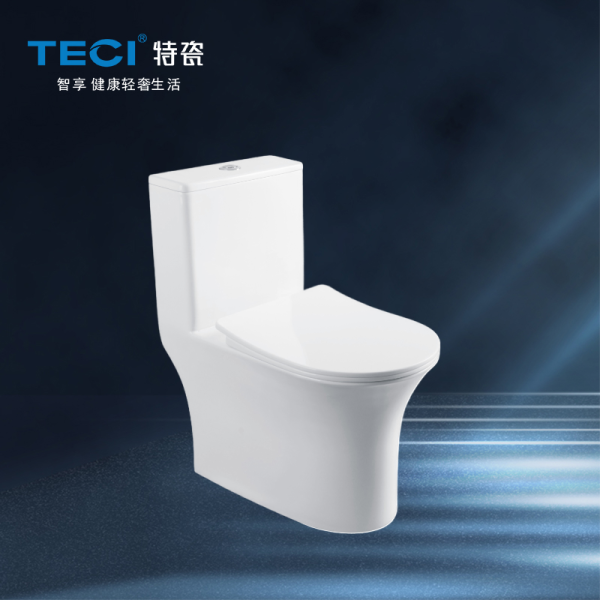 6899-023-024連體坐便器