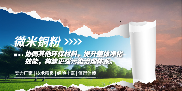天津球形微米銅粉