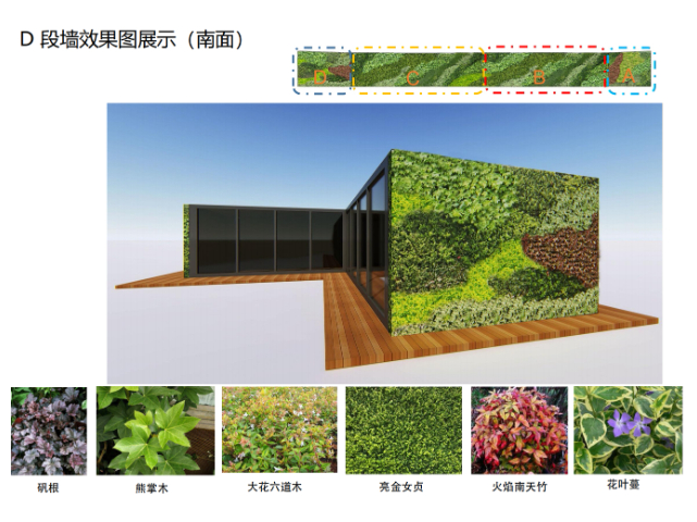 深圳阳台植物墙设计,植物墙