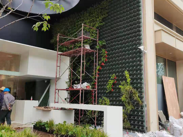 广西植物墙可上门安装,植物墙