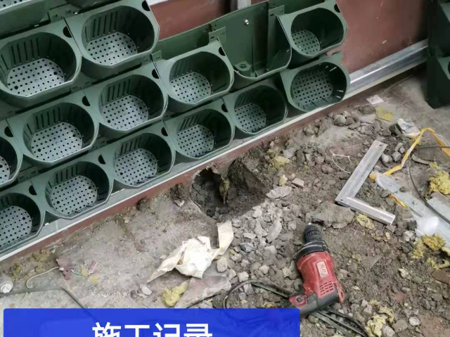 蘇州鮮活植物墻