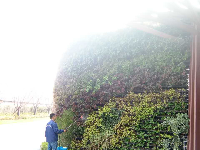 上海創(chuàng)意植物墻參考價(jià),植物墻