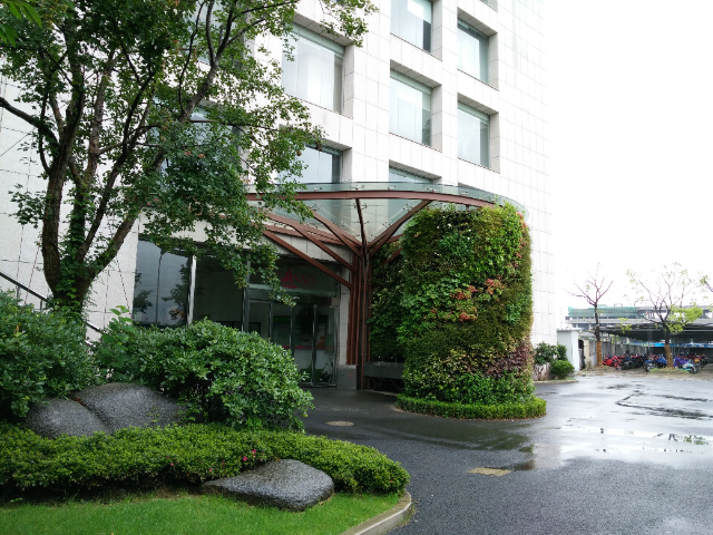 北京室内植物墙供应