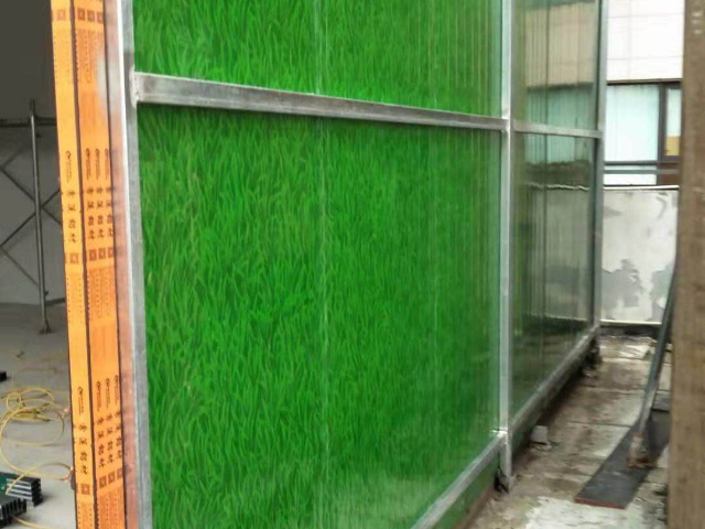 南通植物墻多少錢,植物墻