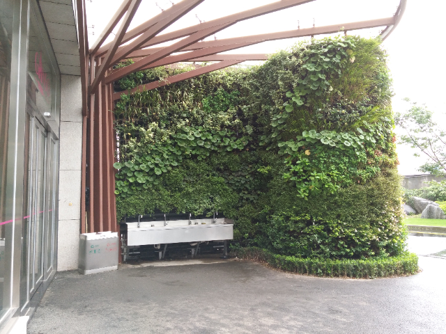 上海鮮活植物墻施工,植物墻