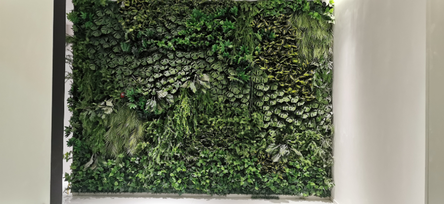 深圳小戶型植物墻價位,植物墻