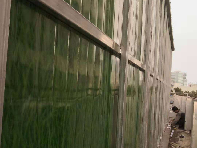 立体花墙植物墙效果图