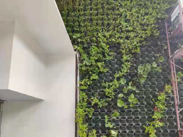 天津墻體植物墻市價(jià),植物墻