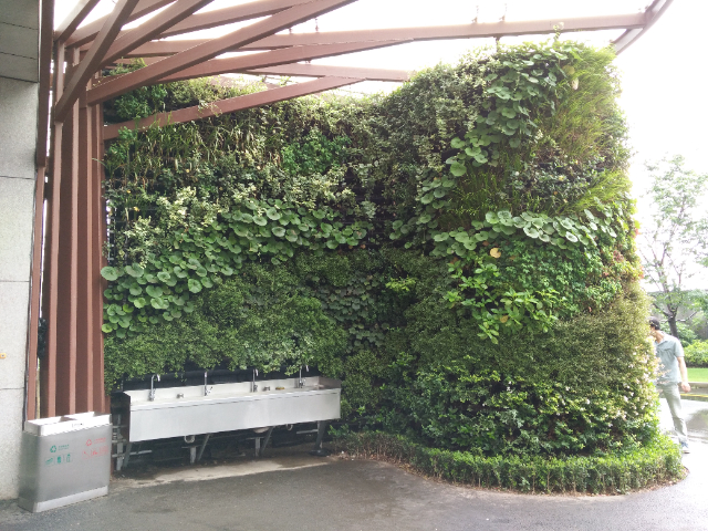 浙江仿真植物墻參考價(jià),植物墻