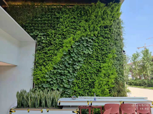 浙江室外裝飾植物墻公司