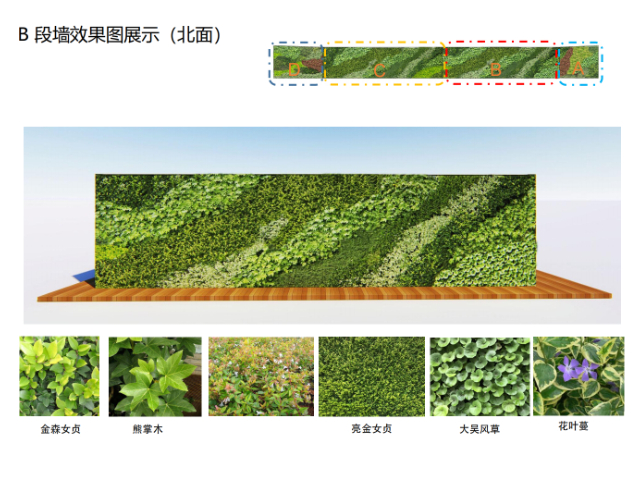 室内植物墙按需定制,植物墙