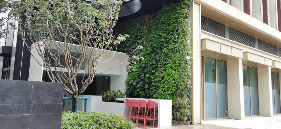 浙江室外装饰植物墙公司,植物墙