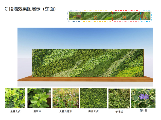 浙江景觀植物墻設(shè)計,植物墻