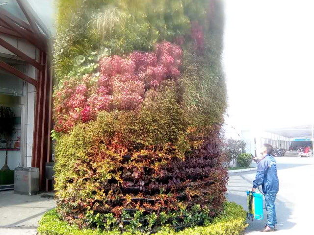 浙江仿真植物墻參考價(jià),植物墻