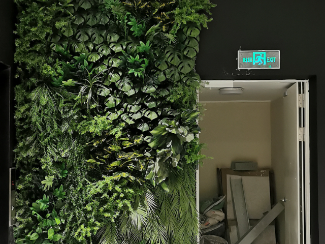 安徽绿色植物墙制作,植物墙