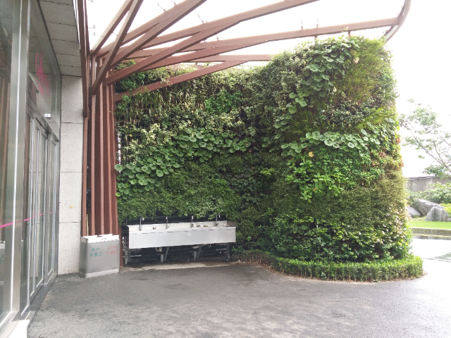 江苏移植植物墙哪家好,植物墙