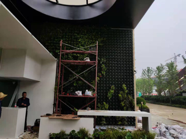 廣東生態(tài)植物墻定制