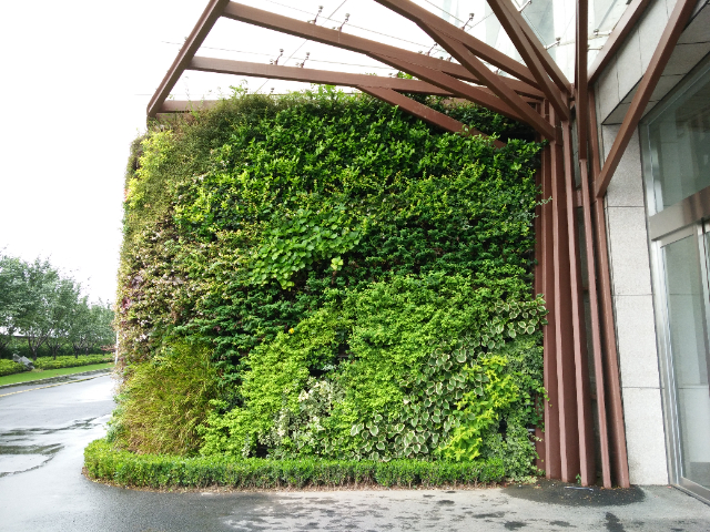 安徽室外植物墻行價