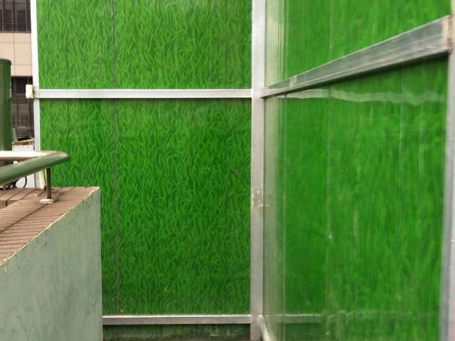 天津水培植物墻供應(yīng),植物墻