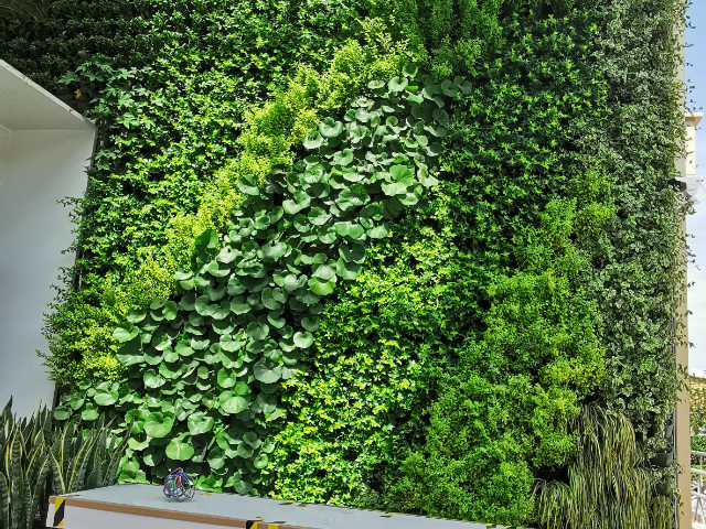 上海陽臺植物墻價位,植物墻