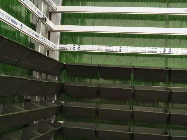 上海鮮活植物墻施工
