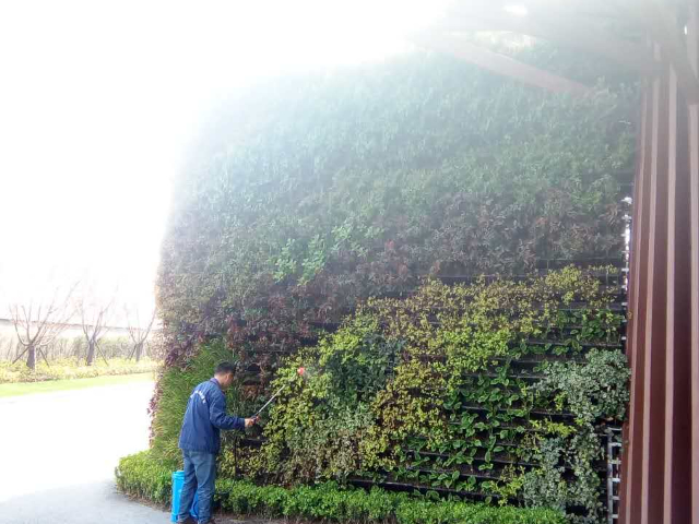 上海陽臺植物墻價位