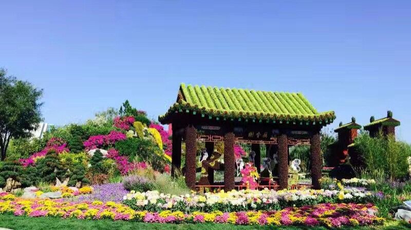 江蘇立體綠雕設(shè)計(jì),立體綠雕