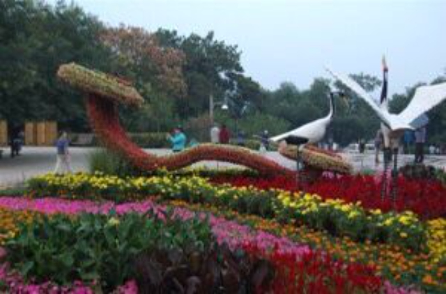 福建園林立體綠雕 上海翁記環(huán)保科技供應