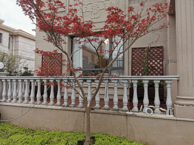南京聯(lián)排別墅庭院花園景觀工程