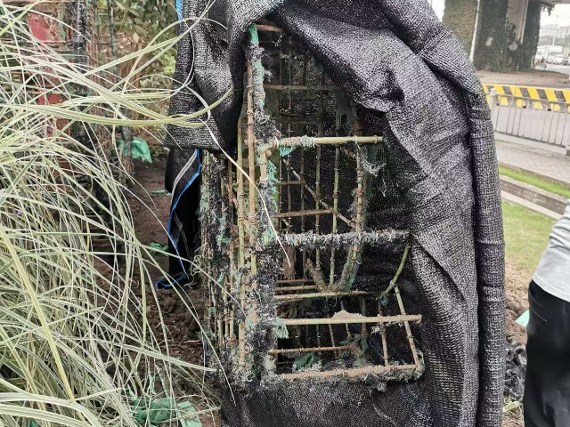 廣東新農村立體綠雕供應商,立體綠雕