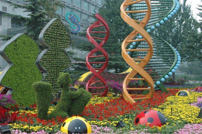 江苏节庆立体绿雕批发价格