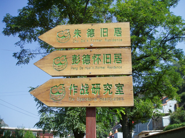 安徽?qǐng)@林立體綠雕現(xiàn)場(chǎng)施工,立體綠雕
