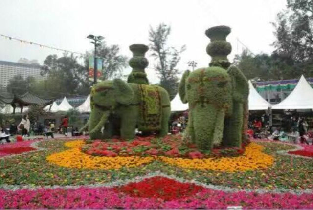 江蘇動植物立體綠雕多少錢,立體綠雕