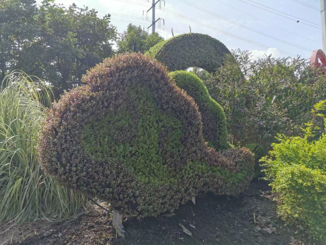 安徽動(dòng)植物立體綠雕現(xiàn)場施工,立體綠雕