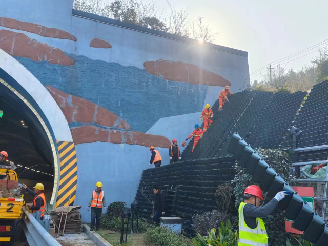 山东公路生态边坡绿化 上海翁记环保科技供应