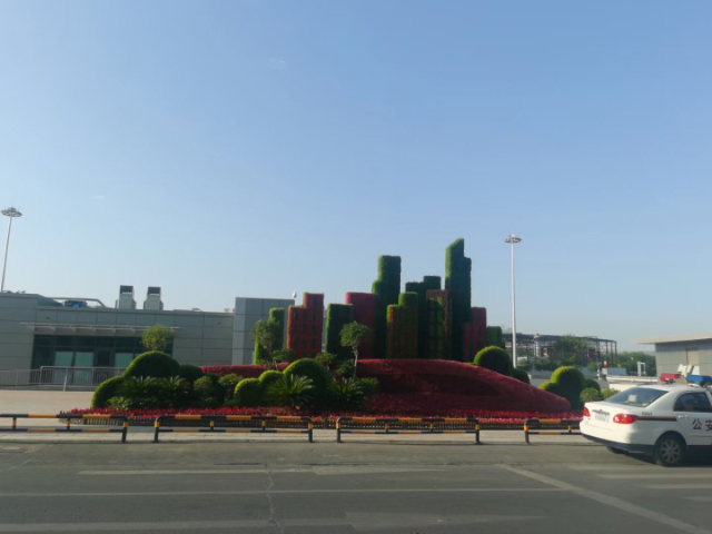 园林景观立体绿雕造型,立体绿雕