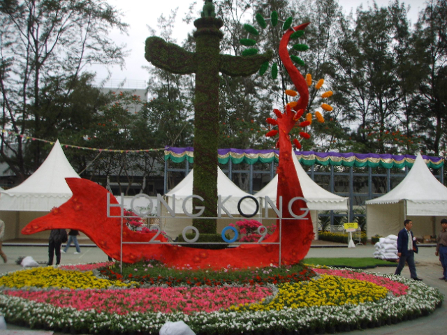 深圳五色草立体绿雕批发价格