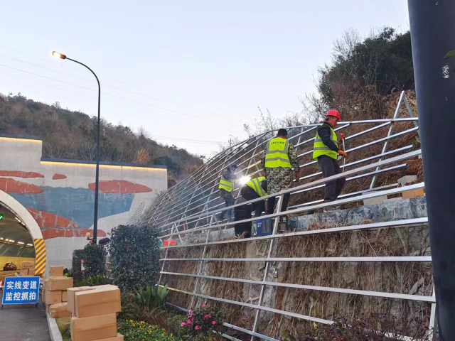 江蘇石質(zhì)生態(tài)邊坡綠化定制,生態(tài)邊坡綠化