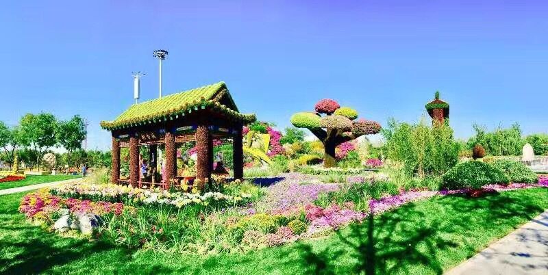 安徽城市立體綠雕現(xiàn)場(chǎng)施工 上海翁記環(huán)?？萍脊?yīng)