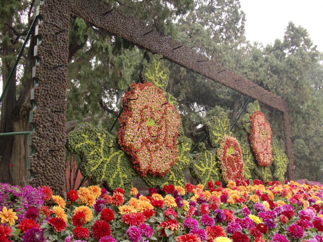 江苏校园立体绿雕市价