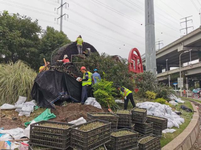 貴州立體綠雕定制,立體綠雕