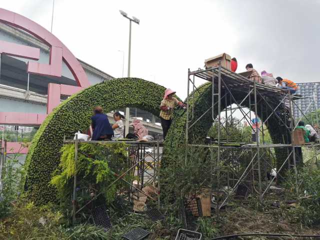广东景区立体绿雕专业定制,立体绿雕