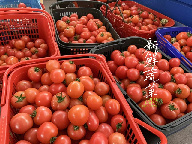 上海春季小番茄銷售廠家,小番茄