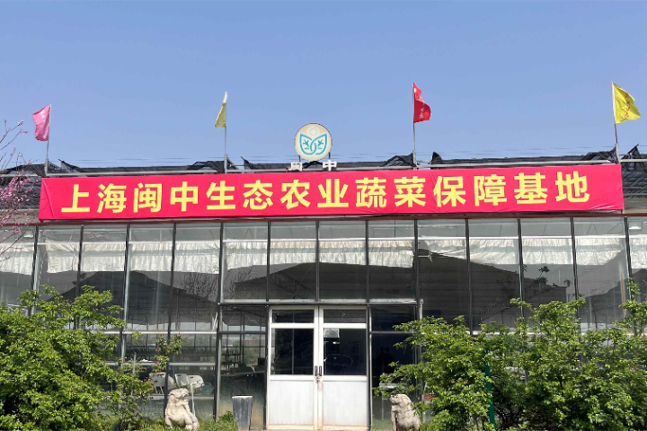 上海有機小番茄推薦貨源