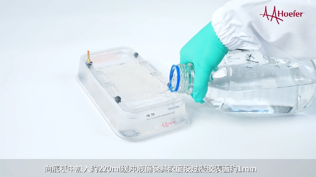 电泳电源水平电泳仪招商