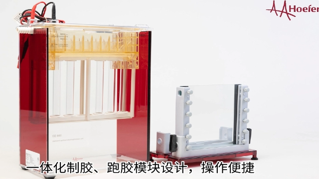 教学实验演示垂直电泳仪价位