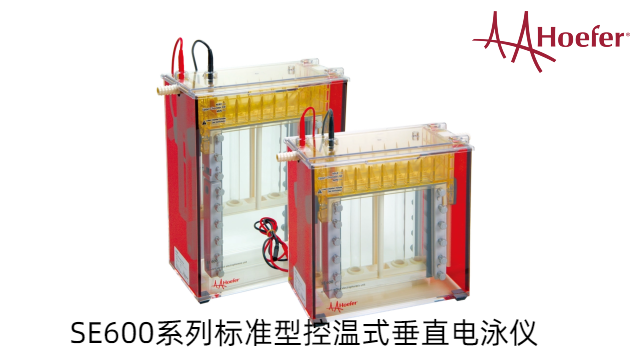 免疫检测垂直电泳仪哪里有卖的
